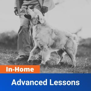 In-Home Advanced Lessons
