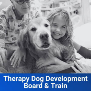 Therapy Dog Preparation Board and Train