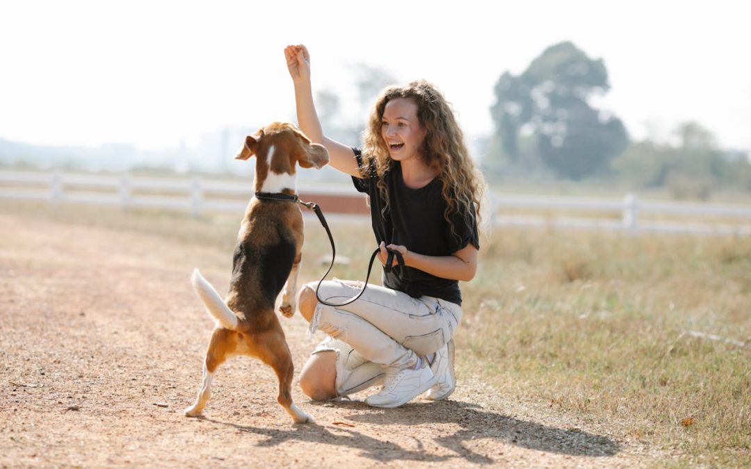Essential Dog Training Tips for New Owners