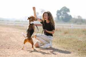 Essential Dog Training Tips for New Owners
