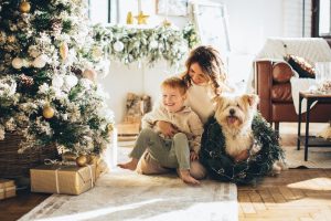 How to Train Your Dog to Stay Calm Around Kids