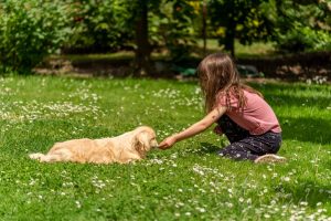 How to Train Your Dog to Stay Calm Around Kids