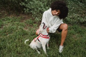 The Power of Positive Reinforcement for Dogs