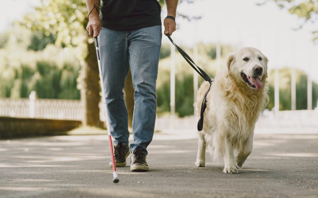 How to Train a Service Dog