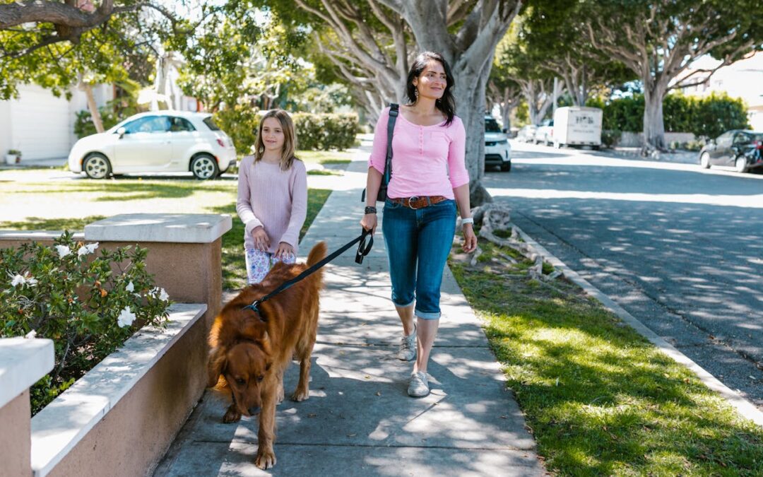 Training Dogs to Stay Calm Around Busy Roads: 5 Key Steps