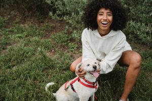 Speed Up Dog Training
