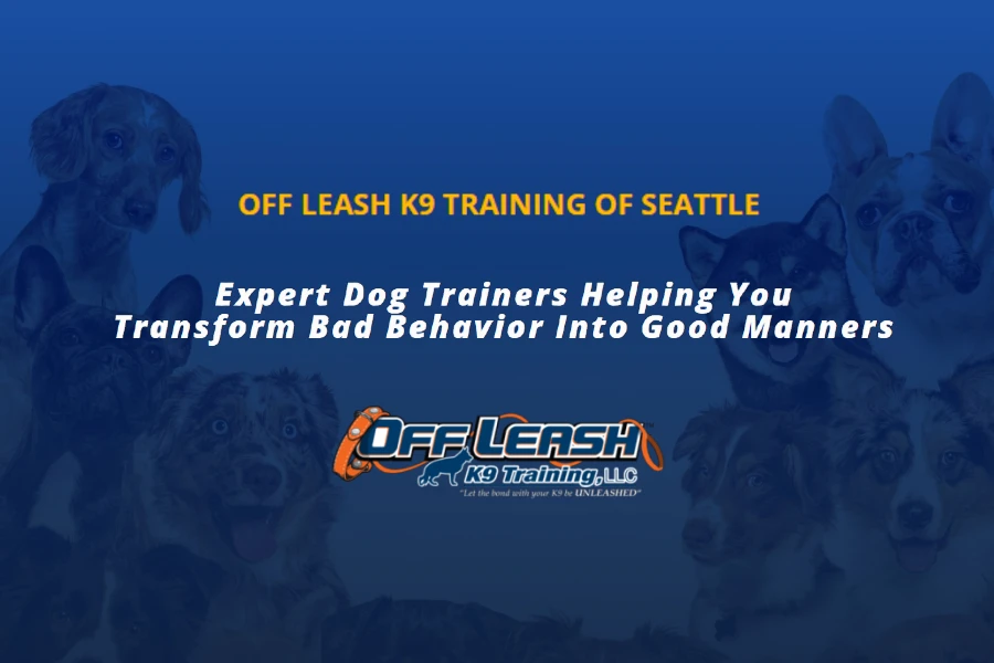 Dog Training Seattle WA K9