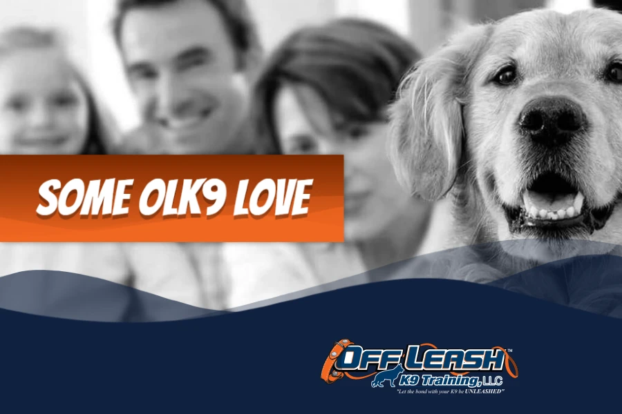 Off Leash K9 Seattle Testimonials