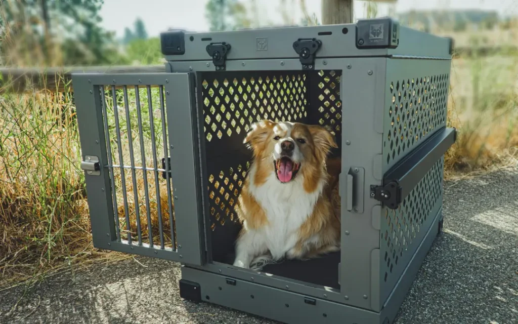 Establish the Proper Mindset for crate training