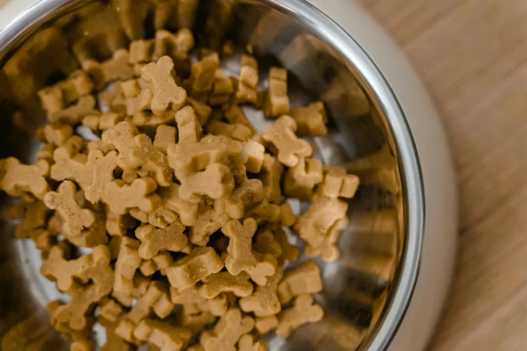 close-up of dog food in a dog bowl
