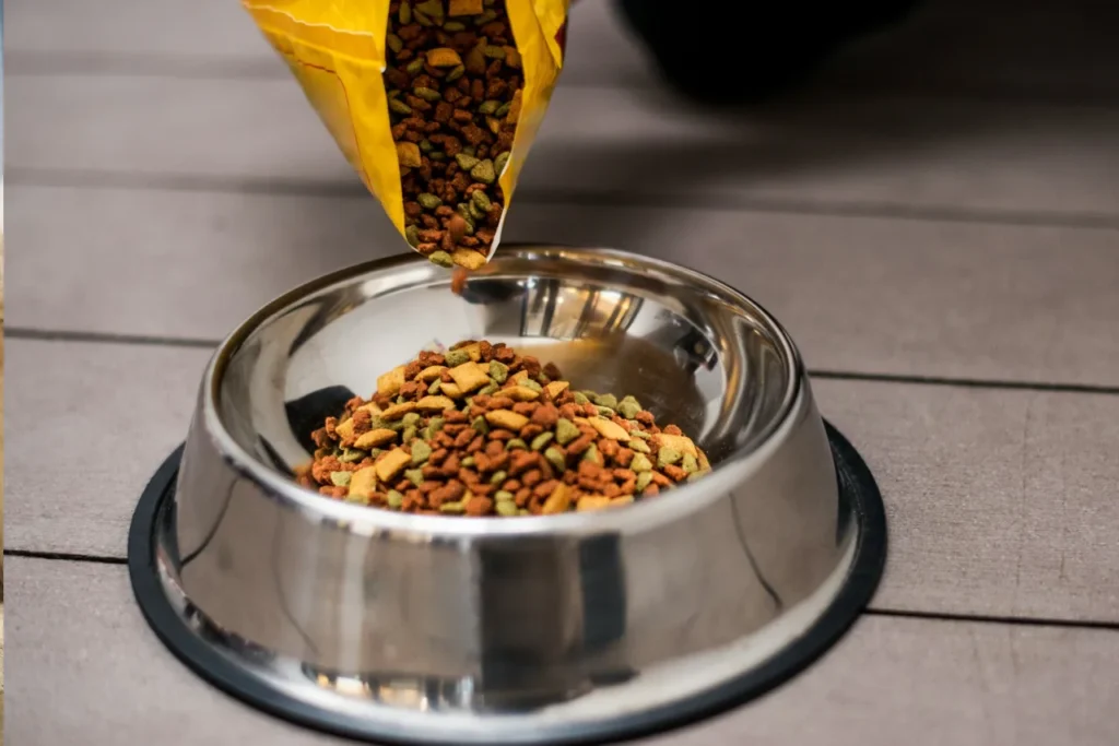 dog food
